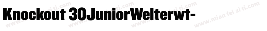 Knockout 30JuniorWelterwt字体转换